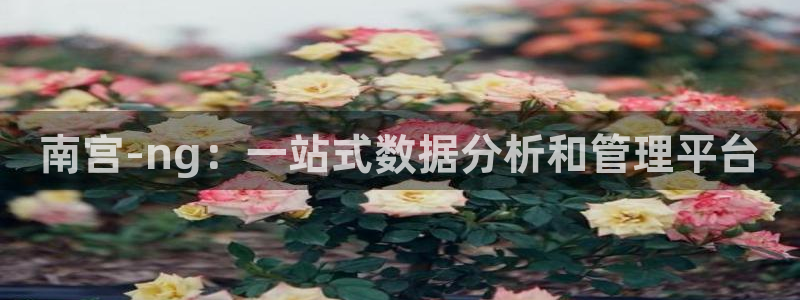 彩神官网首页