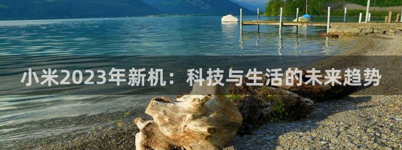 彩神8合法吗