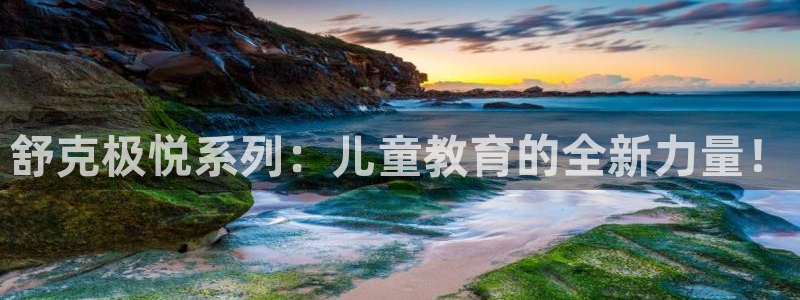 彩神500大发：舒克极悦系列：儿童教育的全新力量！