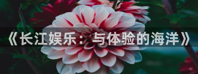 彩神平台：《长江娱乐：与体验的海洋》
