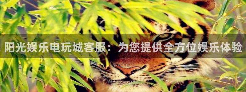 彩神vlll