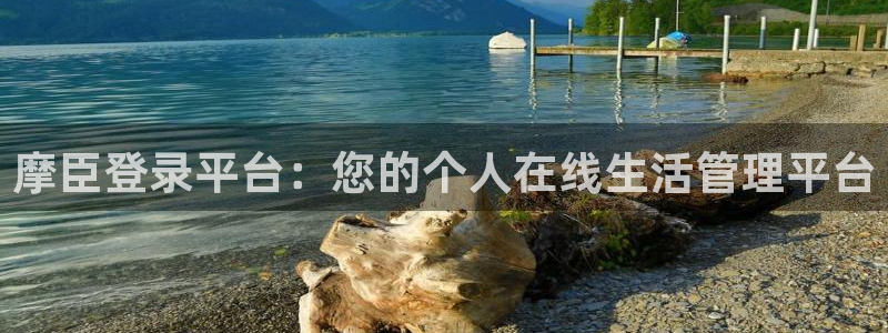 神彩神彩：摩臣登录平台：您的个人在线生活管理平台