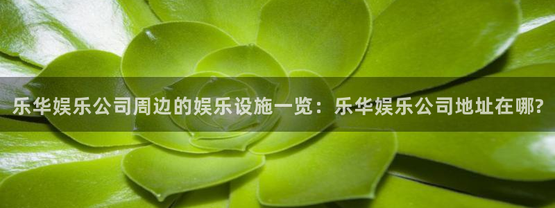 彩神广告：乐华娱乐公司周边的娱乐设施一览：乐华娱乐公司地址在哪?