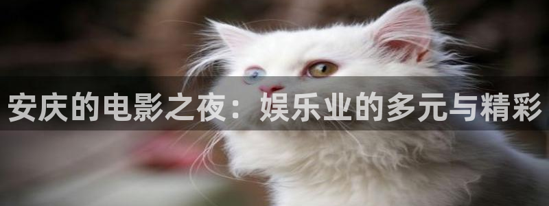彩神v购彩：安庆的电影之夜：娱乐业的多元与精彩