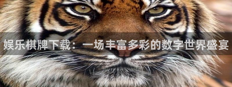 66彩神：娱乐棋牌下载：一场丰富多彩的数字世界盛宴