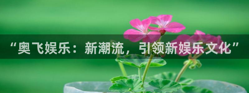 彩神争霸旧版：“奥飞娱乐：新潮流，引领新娱乐文化”