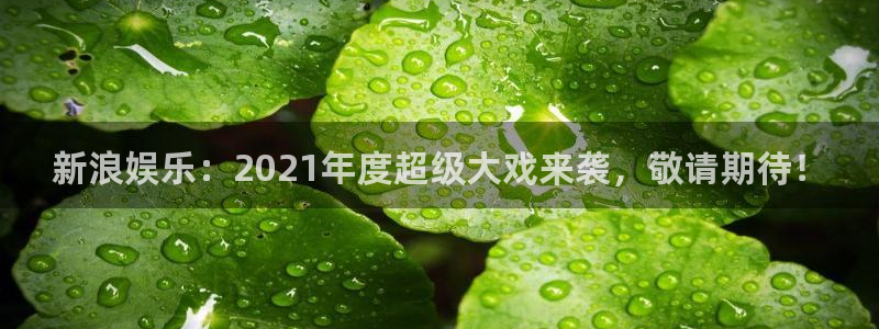 彩神vlll：新浪娱乐：2021年度超级大戏来袭，敬请期待！