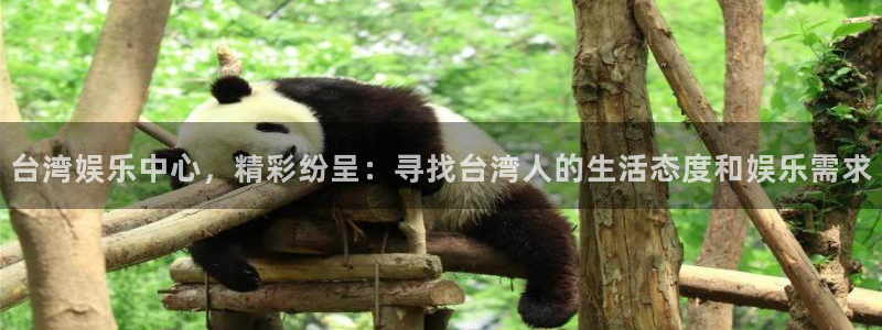 彩神8v：台湾娱乐中心，精彩纷呈：寻找台湾人的生活态度和娱乐需求