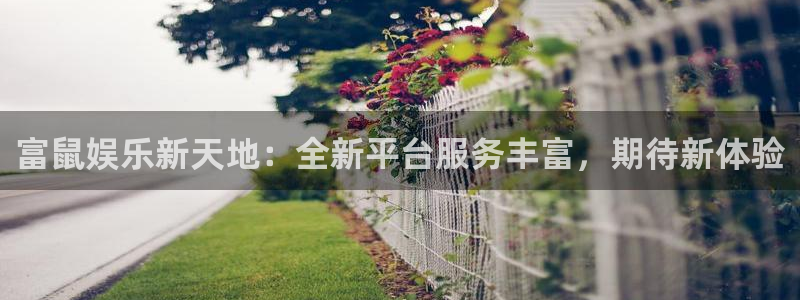 彩神通关：富鼠娱乐新天地：全新平台服务丰富，期待新体验