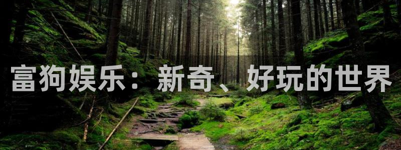 彩神官网首页：富狗娱乐：新奇、好玩的世界