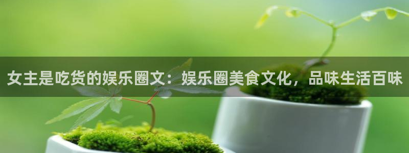 彩神x8：女主是吃货的娱乐圈文：娱乐圈美食文化，品味生活百味