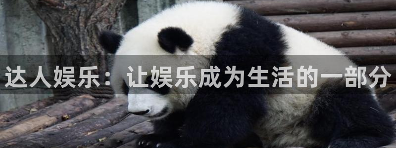 彩神8彩平台：达人娱乐：让娱乐成为生活的一部分