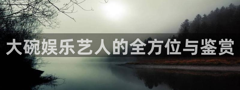 彩神喷墨：大碗娱乐艺人的全方位与鉴赏