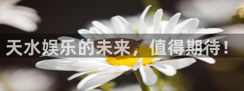 彩神官网版：天水娱乐的未来，值得期待！