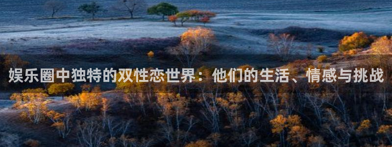 彩神首页：娱乐圈中独特的双性恋世界：他们的生活、情感与挑战