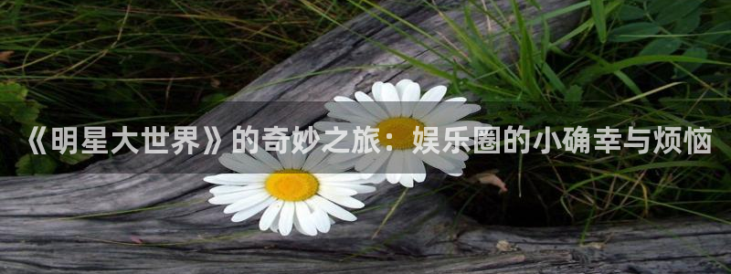 神彩神票：《明星大世界》的奇妙之旅：娱乐圈的小确幸与烦恼