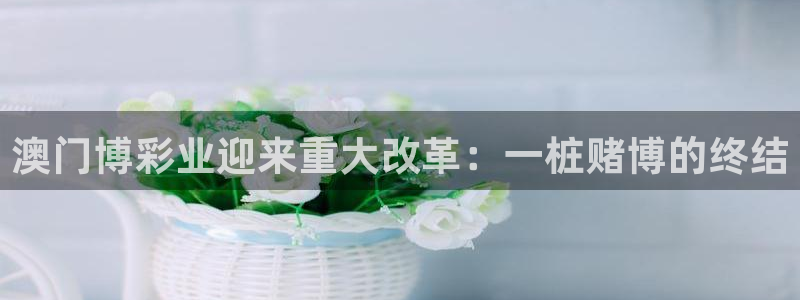彩神66靠谱吗：澳门博彩业迎来重大改革：一桩赌博的终结