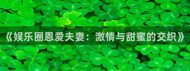 神彩神 ii：《娱乐圈恩爱夫妻：激情与甜蜜的交织》