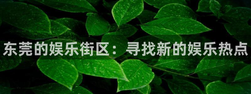 彩神x官网：东莞的娱乐街区：寻找新的娱乐热点