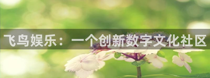 彩神flora：飞鸟娱乐：一个创新数字文化社区