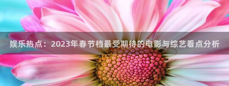 傲世彩神：娱乐热点：2023年春节档最受期待的电影与综艺看点分析