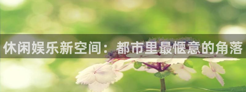 彩神帝：休闲娱乐新空间：都市里最惬意的角落
