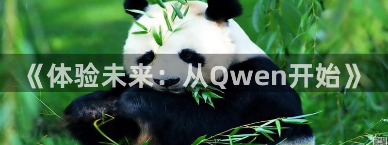 welcome彩神购彩：《体验未来：从Qwen开始》